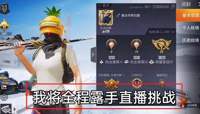 和平【涂山红红】辅助轻便直装工具，重现丝滑畅快体验